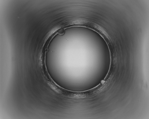 X0000116601026200912111110