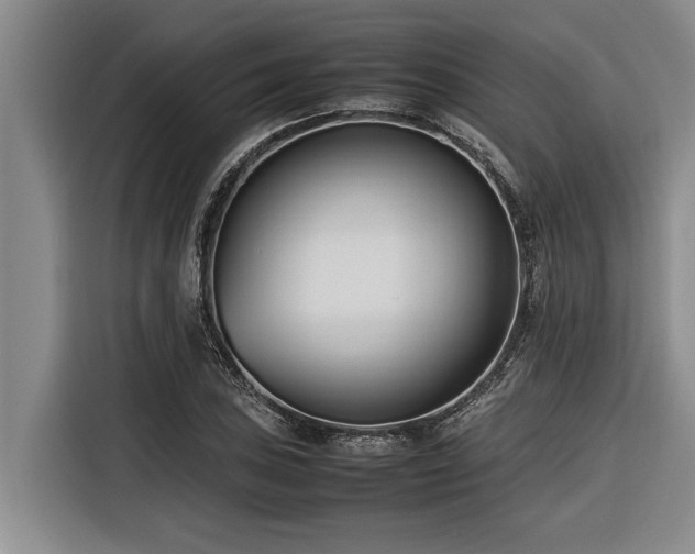 X0000116601027200912111110