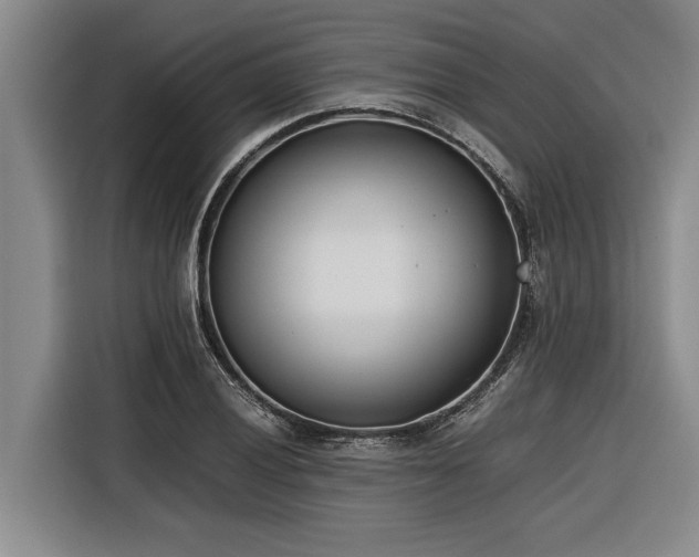 X0000116601028200912111110