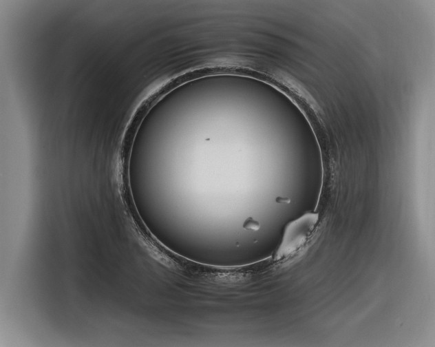 X0000116601029200912111110
