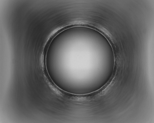 X0000116601030200912111110