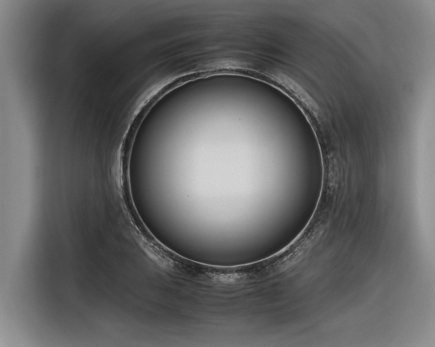 X0000116601031200912111110