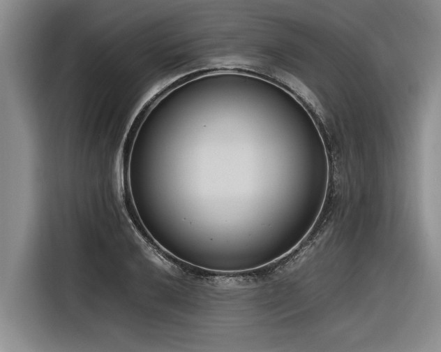 X0000116601032200912111110