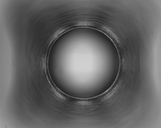 X0000116601033200912111110