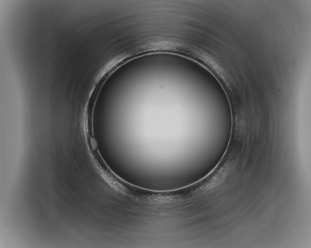 X0000116601034200912111110