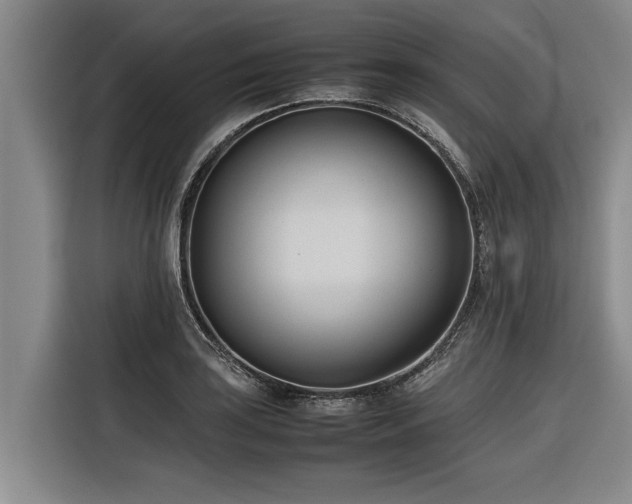 X0000116601035200912111110