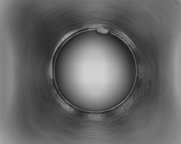 X0000116601036200912111110