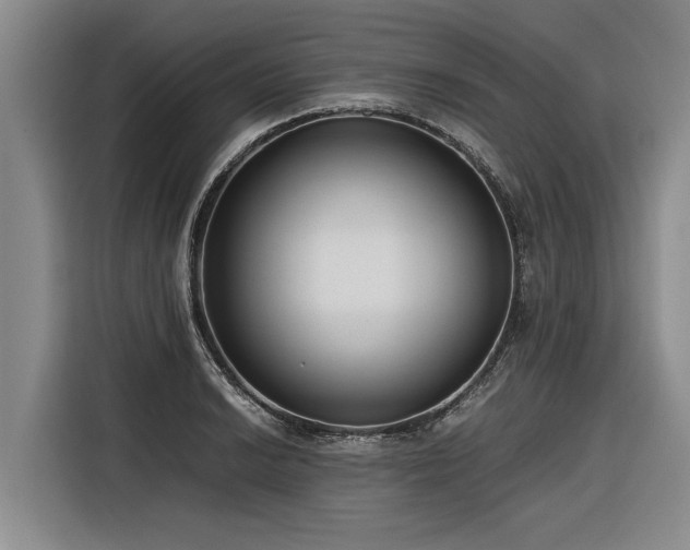 X0000116601038200912111110