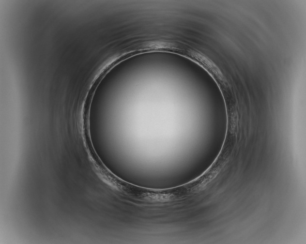 X0000116601039200912111110