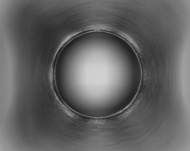 X0000116601040200912111110