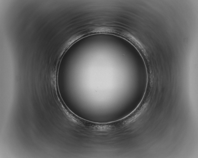 X0000116601041200912111110