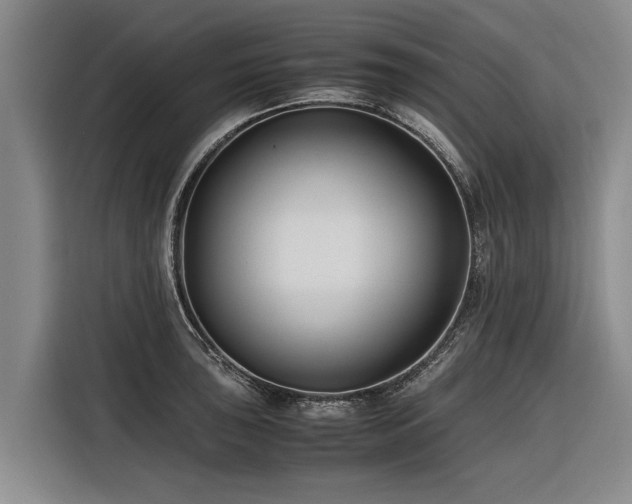 X0000116601043200912111110