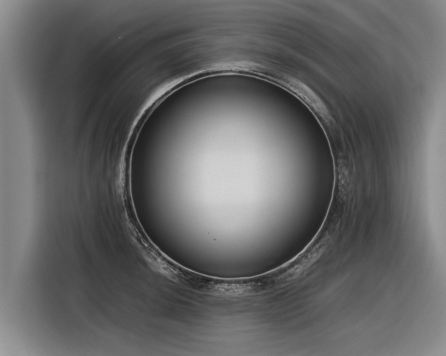 X0000116601044200912111110