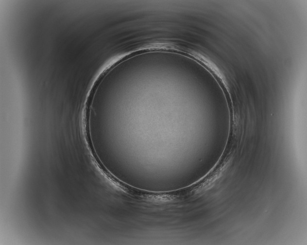 X0000116601045200912111110