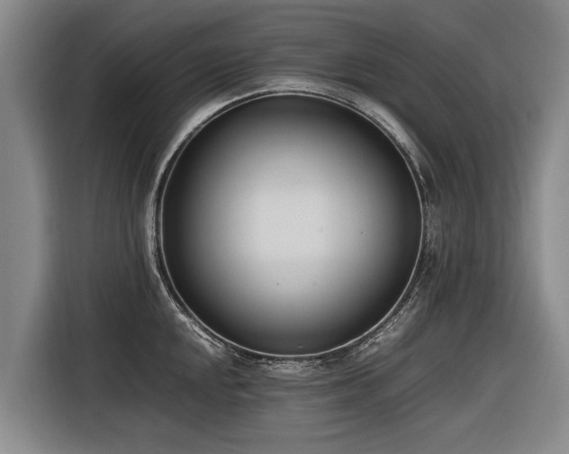 X0000116601048200912111110