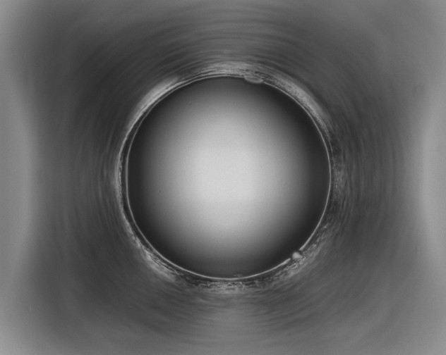 X0000116601050200912111110