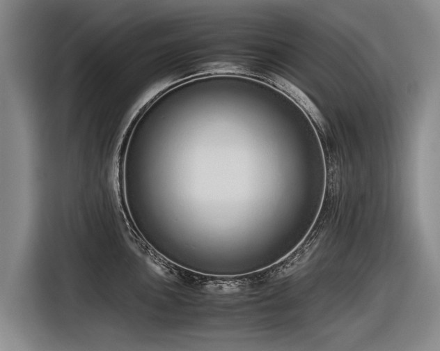 X0000116601051200912111110