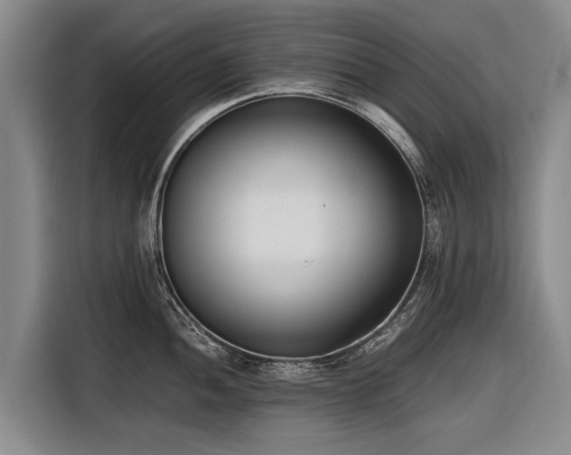 X0000116601052200912111110