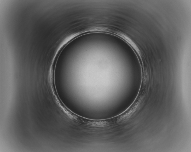 X0000116601053200912111110