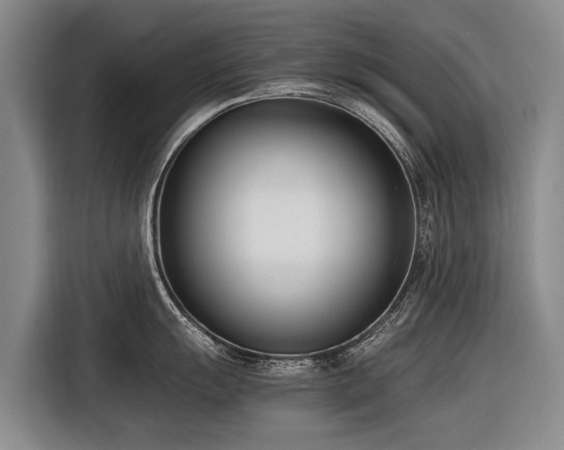 X0000116601055200912111110
