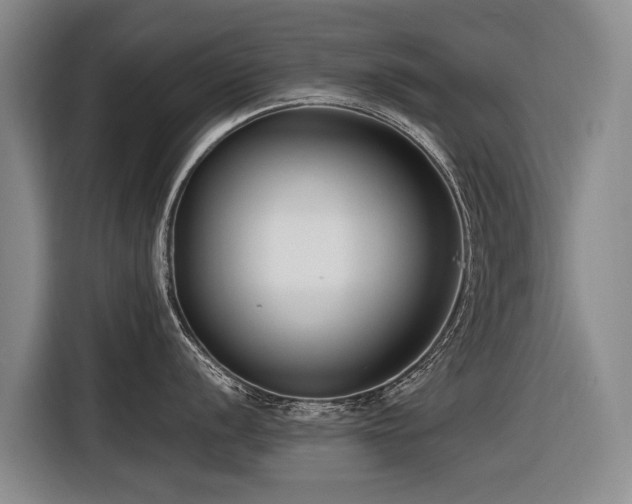 X0000116601056200912111110