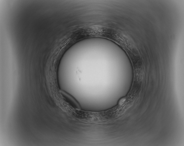 X0000116601057200912111109