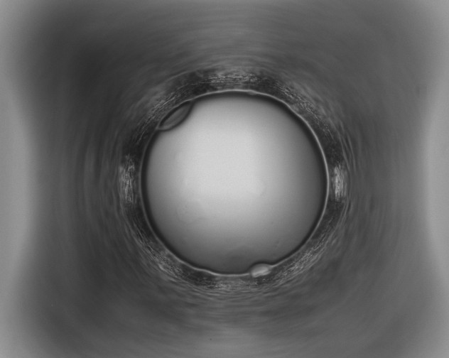 X0000116601059200912111109