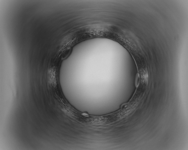 X0000116601060200912111109