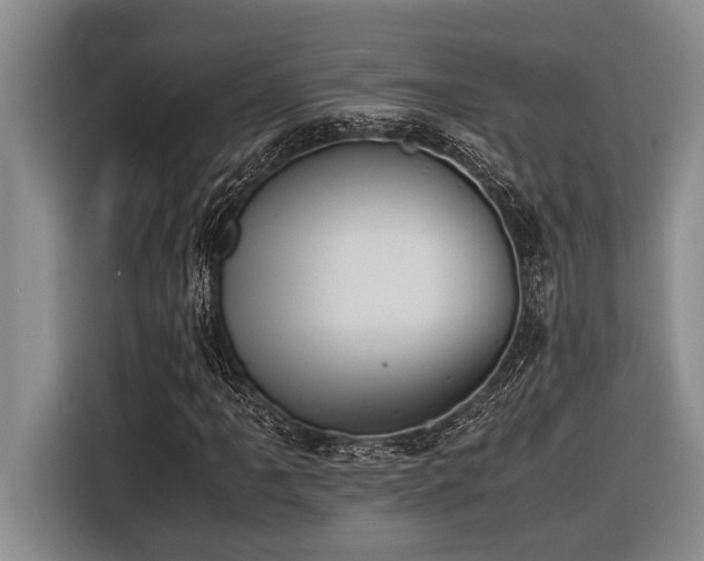 X0000116601061200912111109