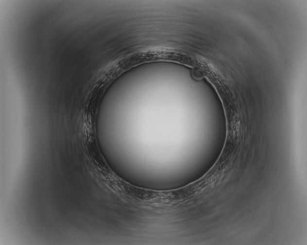 X0000116601062200912111109