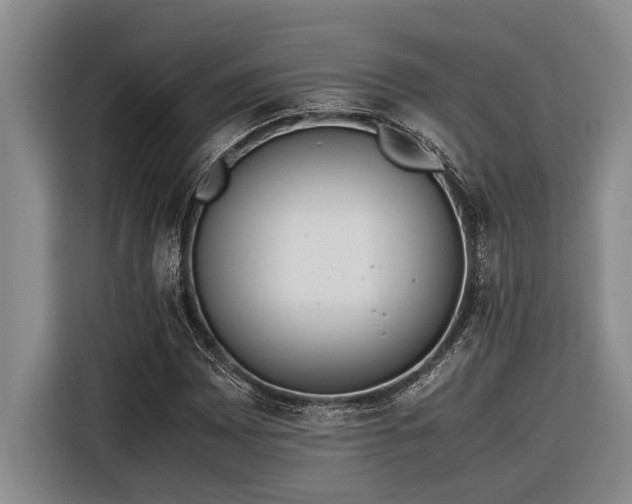 X0000116601065200912111109