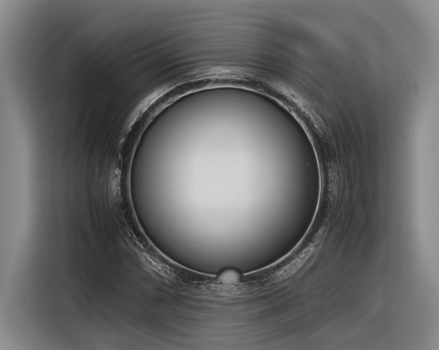 X0000116601066200912111109