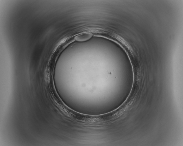 X0000116601067200912111109
