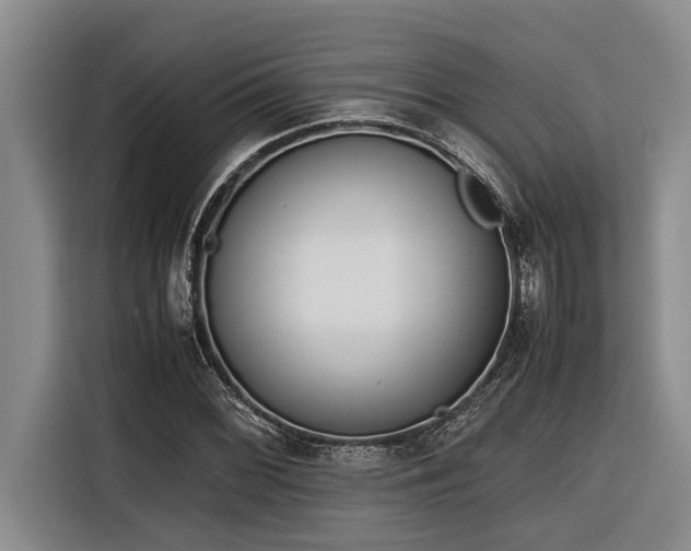 X0000116601068200912111109