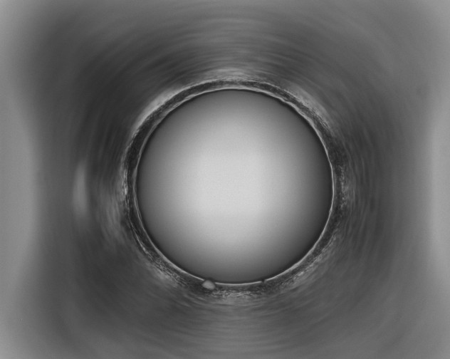 X0000116601070200912111109