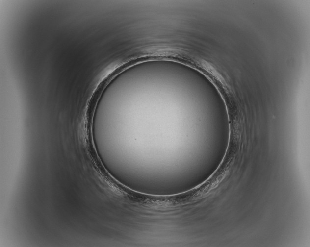 X0000116601071200912111109