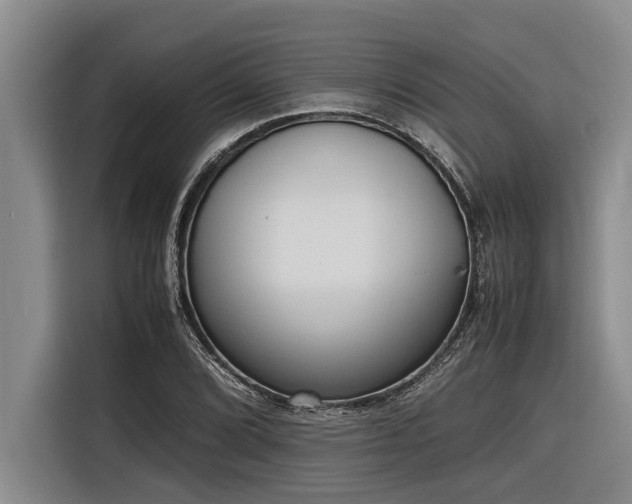 X0000116601072200912111109