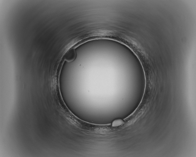 X0000116601073200912111109