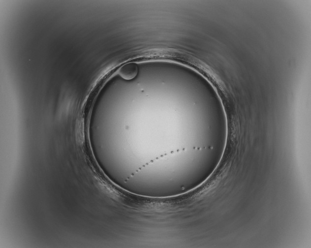X0000116601075200912111109