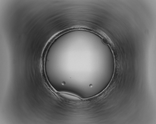 X0000116601076200912111109