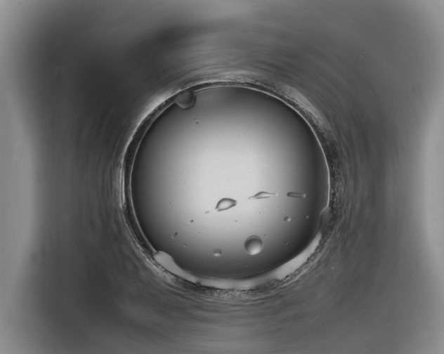 X0000116601079200912111109