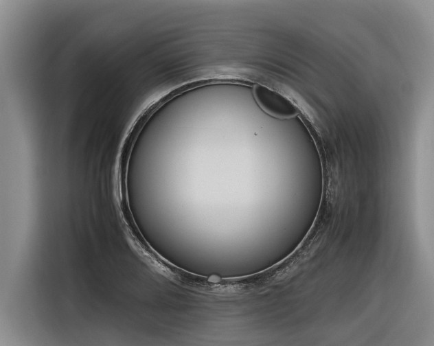 X0000116601080200912111109