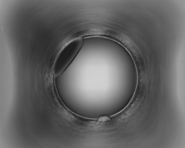 X0000116601081200912111109