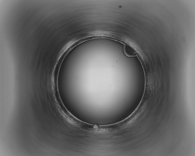 X0000116601082200912111109