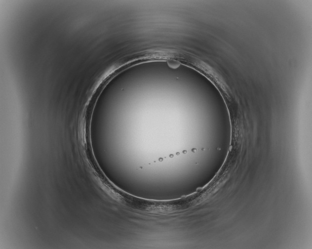 X0000116601083200912111109