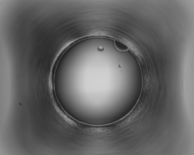 X0000116601084200912111109
