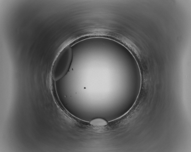 X0000116601085200912111109