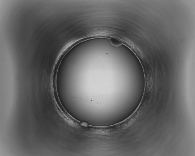X0000116601086200912111109