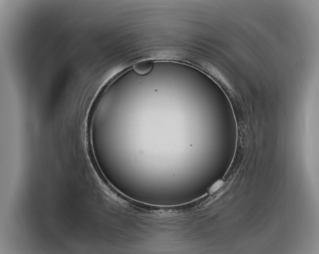 X0000116601087200912111109
