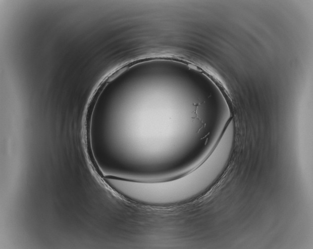 X0000116601088200912111109